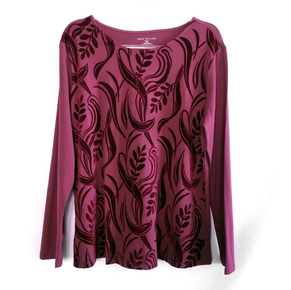🔥NWT Ann Taylor Long Sleeve Velvet Flocking